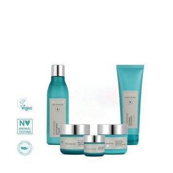 Набір &laquo;Відновлення і реактивація&raquo; Комплексний догляд Artistry Skin Nutrition 124720 фото